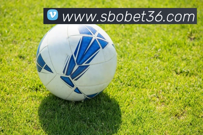 sunbet申博APP 体育赛事宣传图
